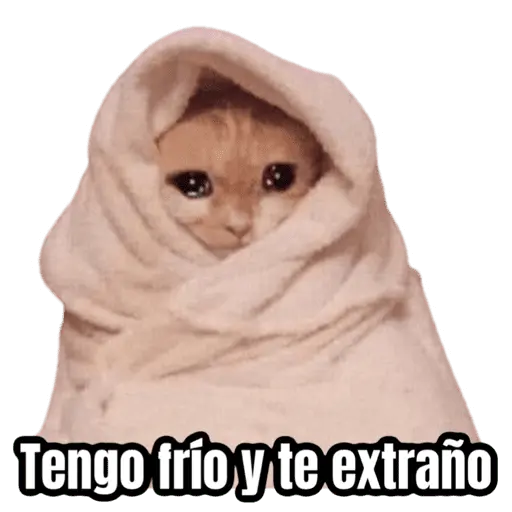 Memes para el frio 🥶❄️☃️