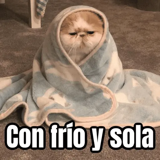 Memes para el frio 🥶❄️☃️
