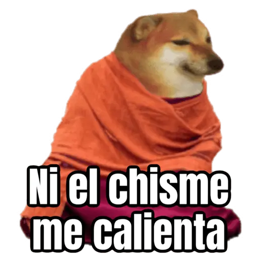 Memes para el frio 🥶❄️☃️