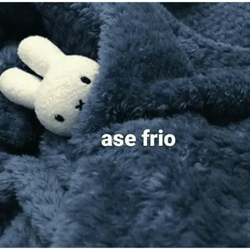 Memes para el frio 🥶❄️☃️