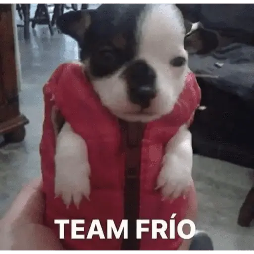 Memes para el frio 🥶❄️☃️