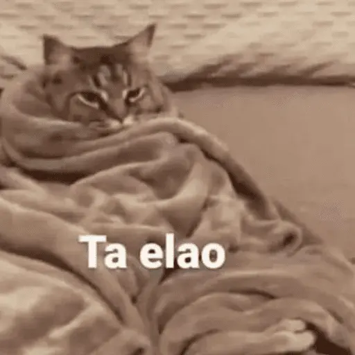 Memes para el frio 🥶❄️☃️