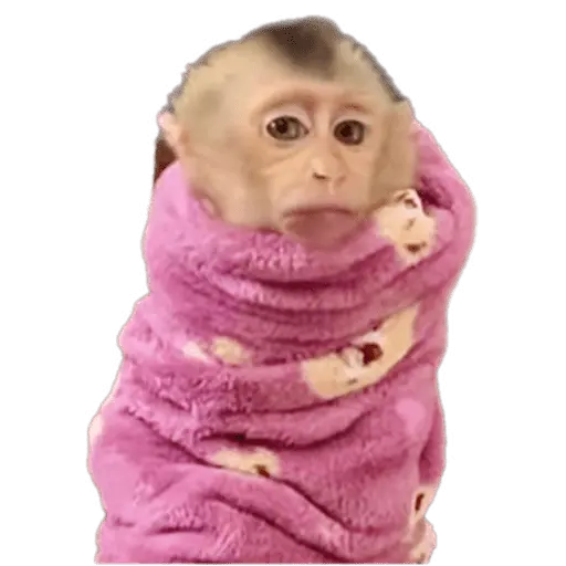 Memes para el frio 🥶❄️☃️