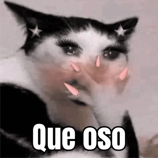 Memes de gatos 🐱😂