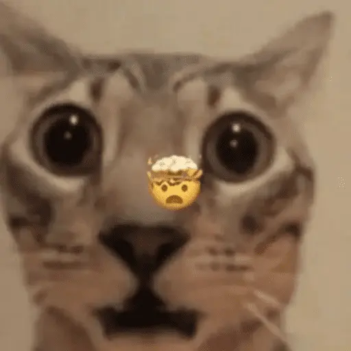 Memes de gatos 🐱😂