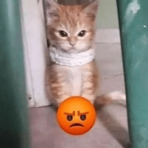 Memes de gatos 🐱😂 preview