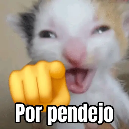 Memes de gatos 🐱😂