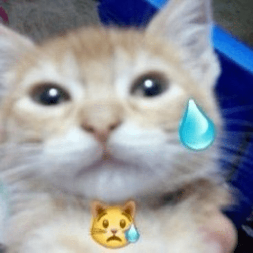 Memes de gatos 🐱😂 preview
