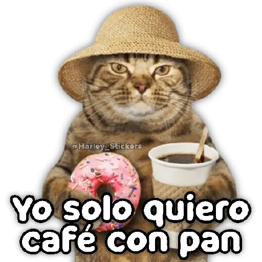 🌀☕ Memes con cafecito ☕🌀