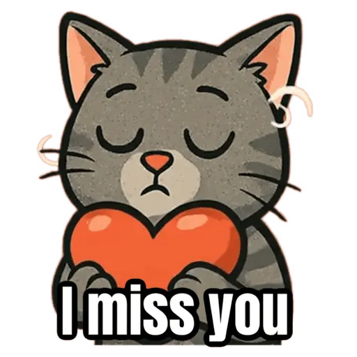 My cat memes 😂🐈
