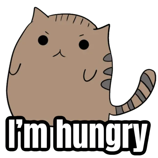 My cat memes 😂🐈