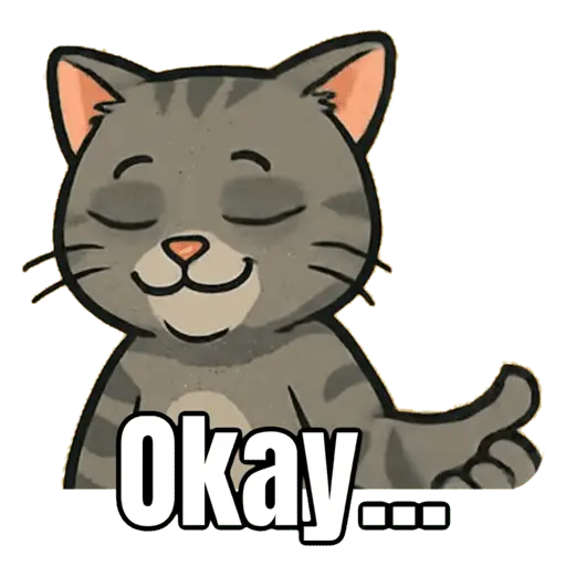My cat memes 😂🐈