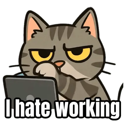 My cat memes 😂🐈