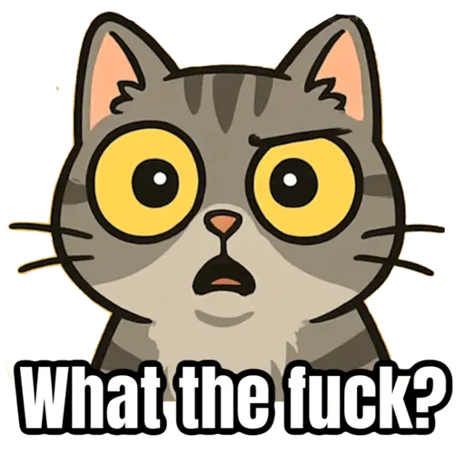 My cat memes 😂🐈