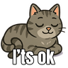 My cat memes 😂🐈