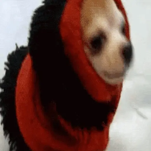 Frio