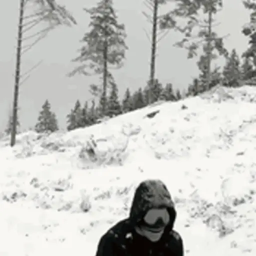 Frio