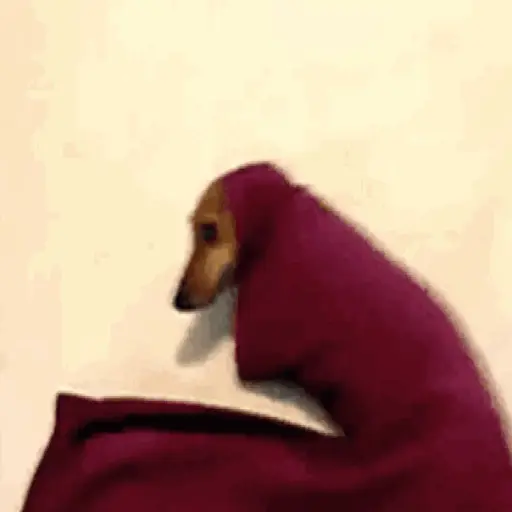 Frio