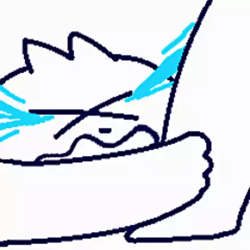 Bowtia Cat 6