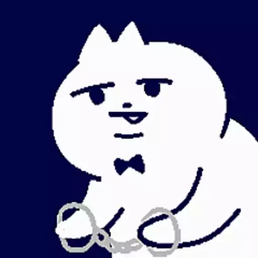 Bowtia Cat 6