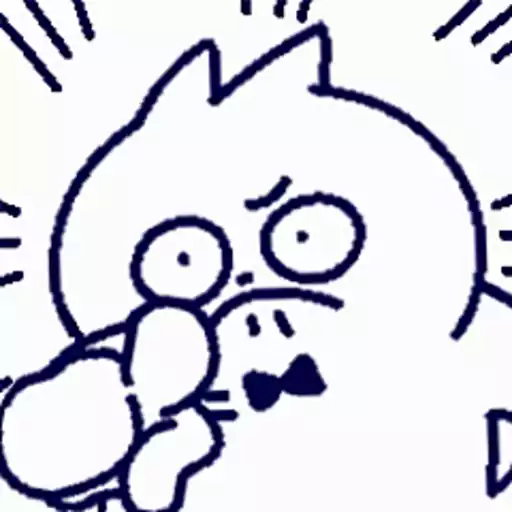 Bowtia Cat 6