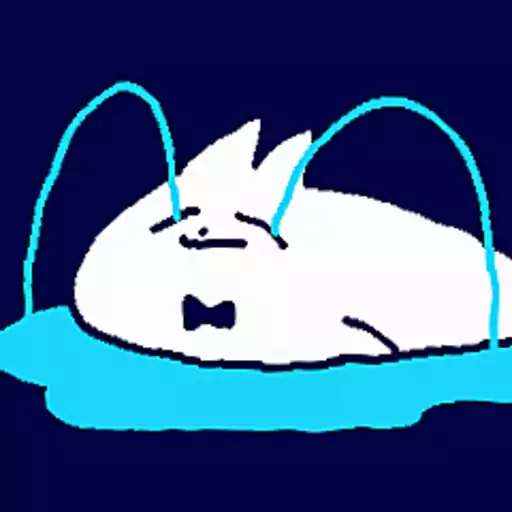 Bowtia Cat 6