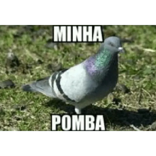 Obras Primas 1.9