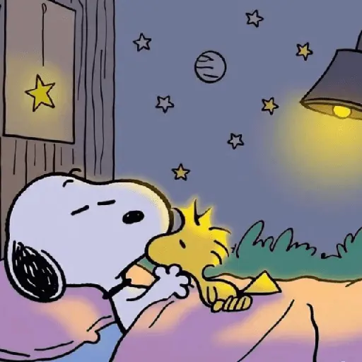 🫐Snoopy Aesthetic🫐