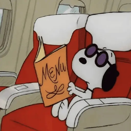 🫐Snoopy Aesthetic🫐