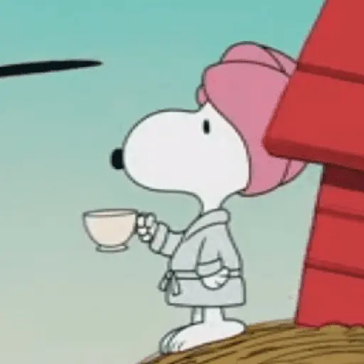 🫐Snoopy Aesthetic🫐