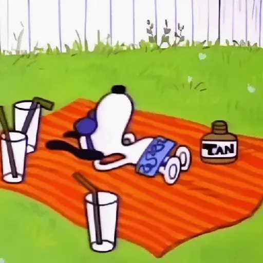 🫐Snoopy Aesthetic🫐