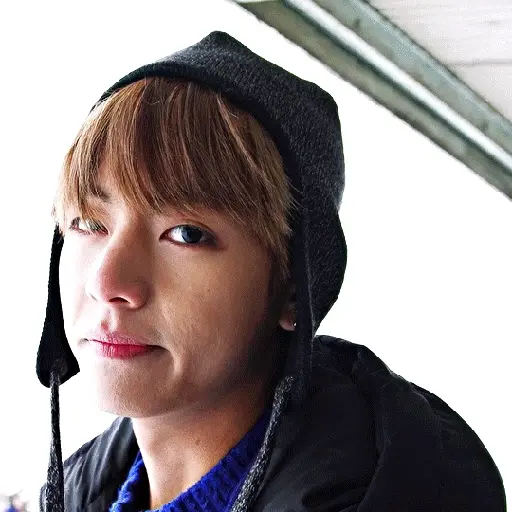 FRIO、COLD、BTS ❄️🐻‍❄️