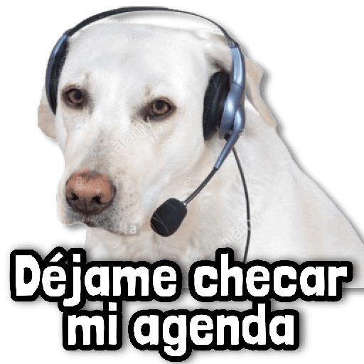 🎯 Stickers sin Filtro #➊⓿ 🎯 preview