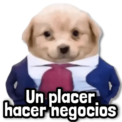 🎯 Stickers sin Filtro #➊⓿ 🎯