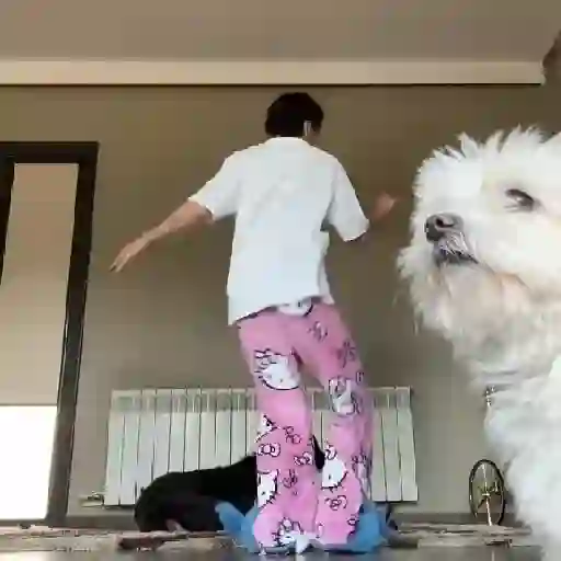 Bambole 🕺🏻viral tiktok preview