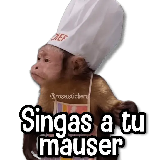 Memes Random➋ღ💫