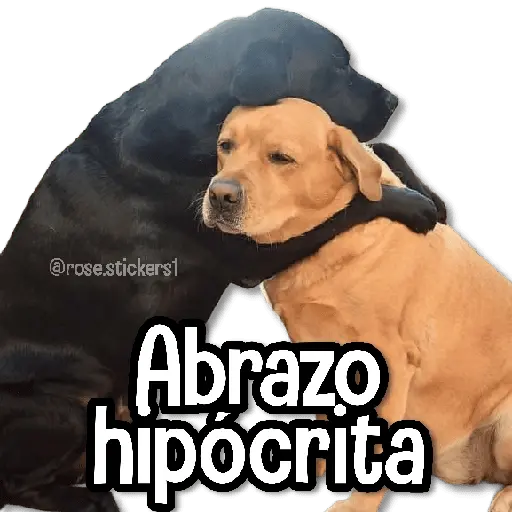 Memes Random➋ღ💫