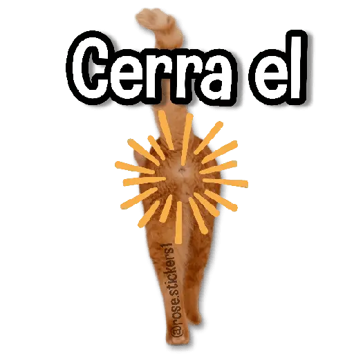 Memes Random➋ღ💫