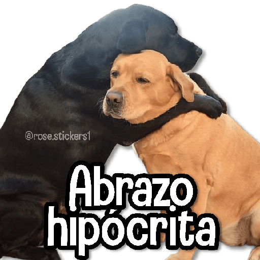 Memes Random➋ღ💫 preview