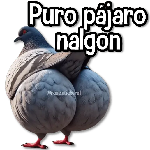 Memes Random➋ღ💫