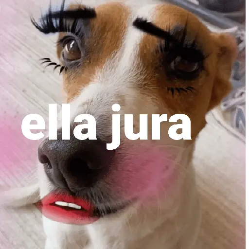 Ella jura 💅🏻❗❗❗ TikTok