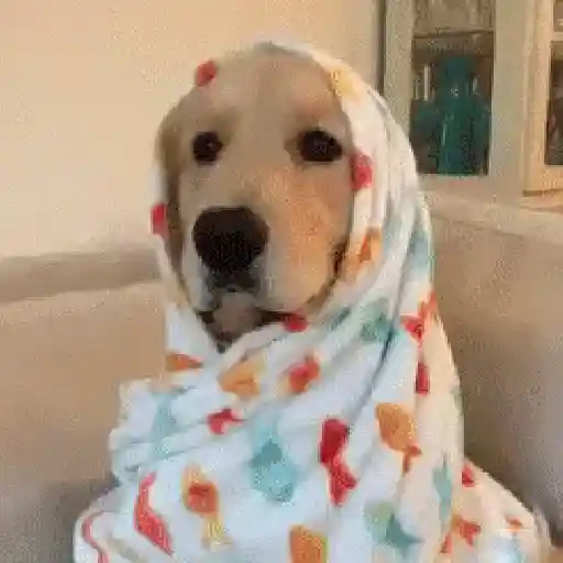 Hace frío 😎