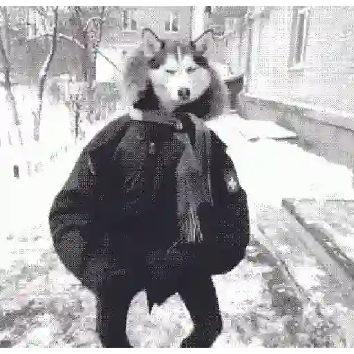 Hace frío 😎