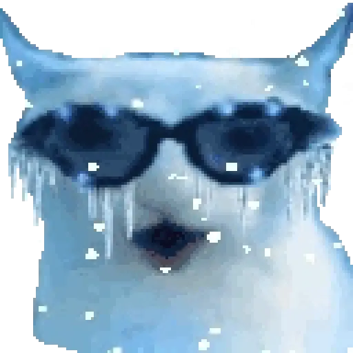 Hace frío 😎