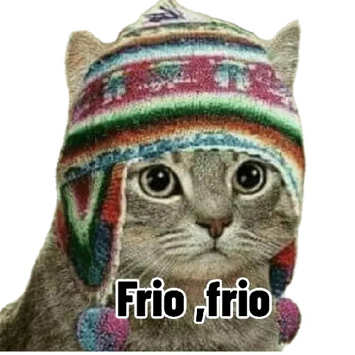 Karamba que Frio é esse 