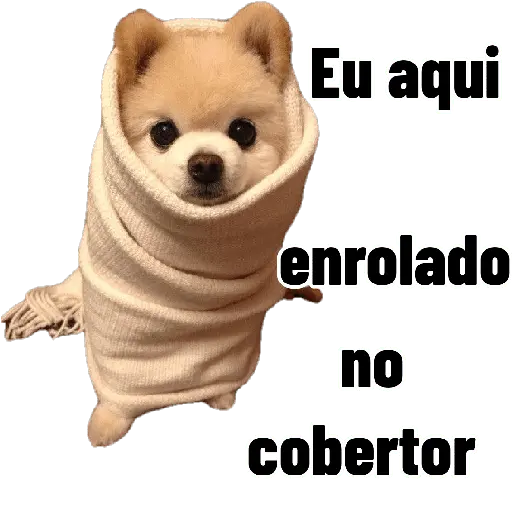 Karamba que Frio é esse 