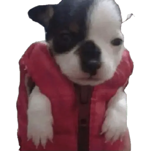 Karamba que Frio é esse 