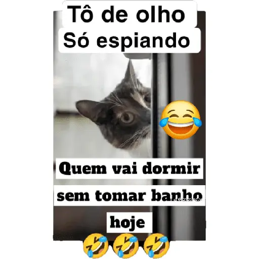 Karamba que Frio é esse 