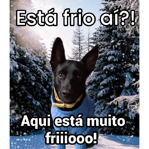 Karamba que Frio é esse 