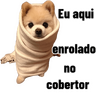 Karamba que Frio é esse 